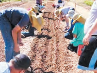 Give Back While You Travel: Eco-Friendly Volunteer&nbsp;Opportunities